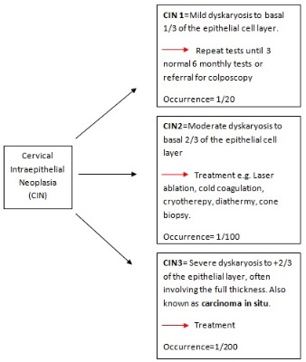 The CIN Stages 